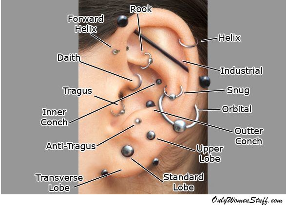 Types of Ear Cartilage Piercing Ideas with Picture, Ear piercing chart, cartilage piercing chart pictures